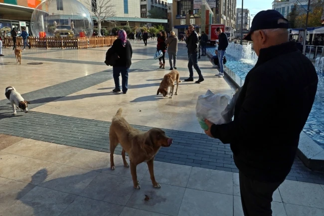 Emekli maaşının yarısını sokak hayvanlarına harcıyor